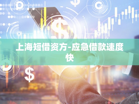 上海短借资方-应急借款速度快