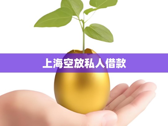 上海空放私人借款