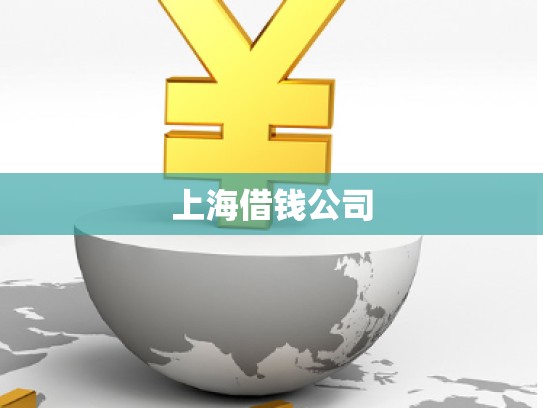 上海借钱公司 上海借钱公司
