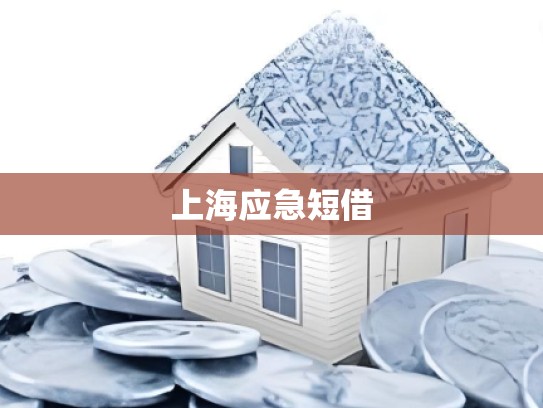 上海应急短借 上海应急短借
