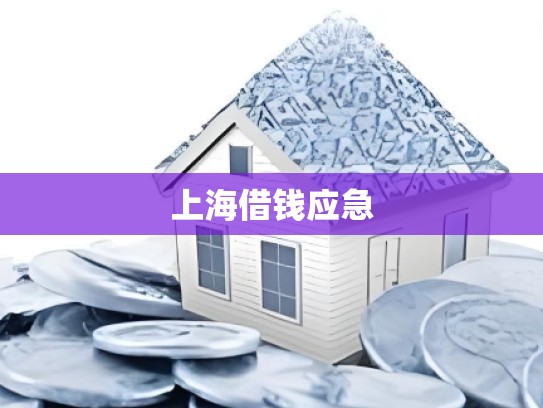 上海借钱应急 上海借钱应急