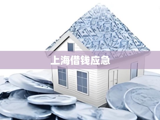 上海借钱应急 上海借钱应急