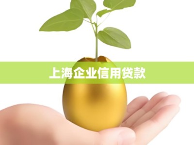 上海企业信用贷款