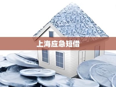 上海应急短借