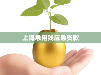 上海急用钱应急贷款